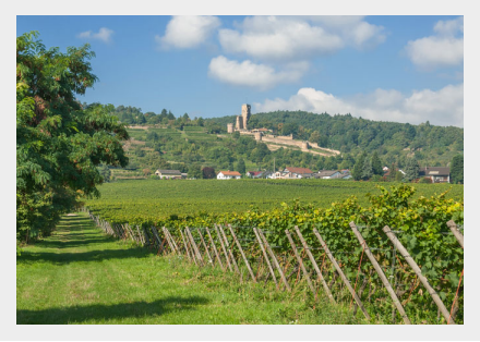 Prüfungen in Rheinland-Pfalz